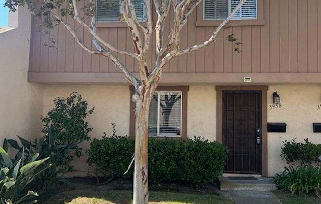 4 bed townhouse near Mesa College and USD