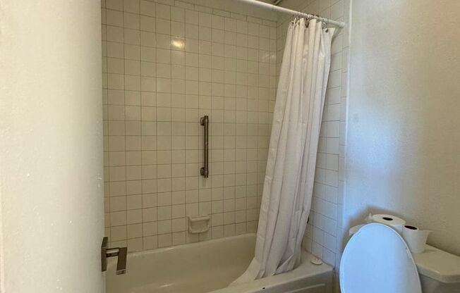 Studio, 1 bath, $800, Unit 202