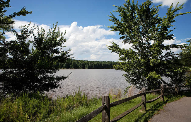A lake surrounded by trees and a wooden fence.