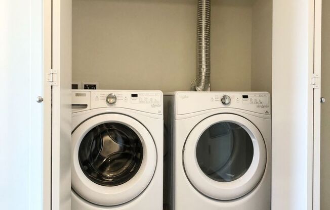 Studio, 1 bath, 525 sqft, $1,950, Unit 203