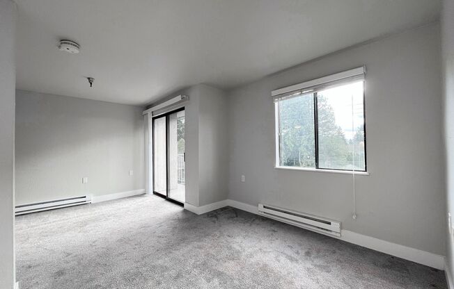 Studio, 1 bath, 480 sqft, $1,350, Unit 116