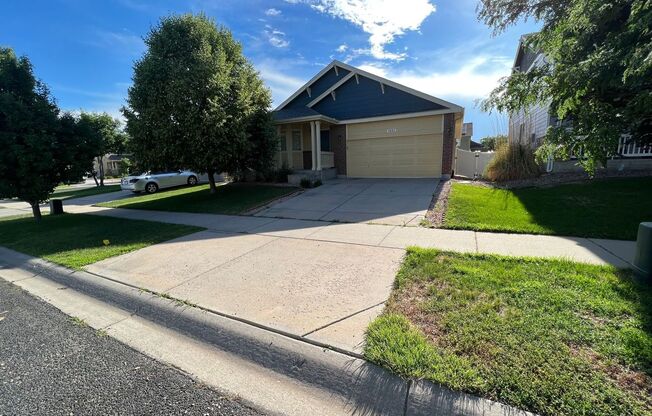 Wonderful Home in Evans