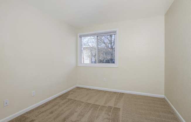 an empty room with carpet and a window