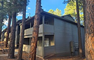 Upgraded West-Flagstaff Condo in the Arbors - 2 Bed, 2 Bath - NO Students & NO Pets! - Avail. NOW!!
