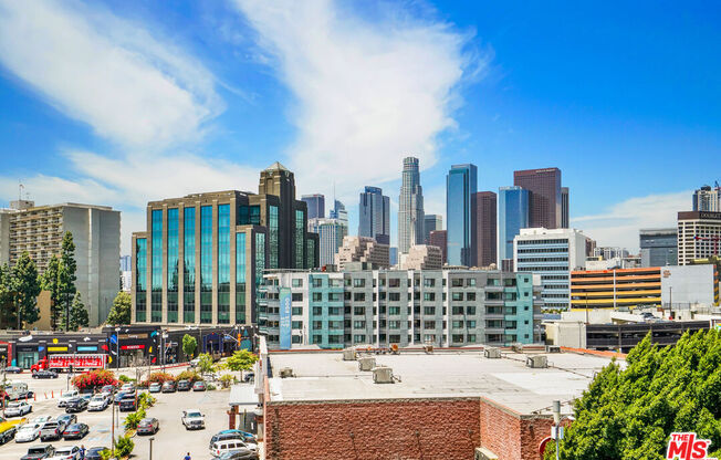 1 bed, 1 bath, 910 sqft, $2,900, Unit 355