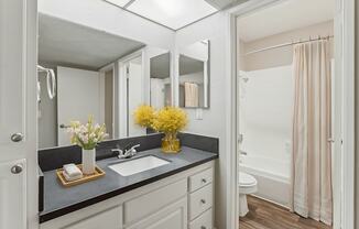 A bathroom with a sink, mirror, and toilet.