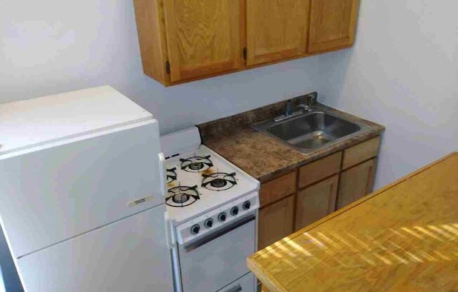 Studio, 1 bath, 211 sqft, $725, Unit 106