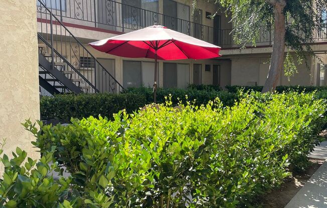 1 bed, 1 bath, 6 sqft, $1,795, Unit 220