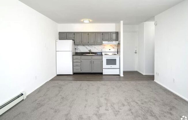 1 bed, 1 bath, 500 sqft, $1,149, Unit D203