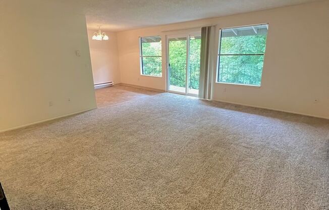 #130 HYDE PARK TERRACE