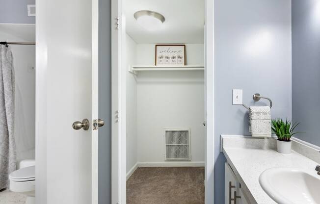 a bathroom with a sink and a toilet and a shower