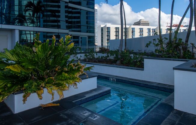 1 bed, 1 bath, $3,200, Unit APARTMENT 1607