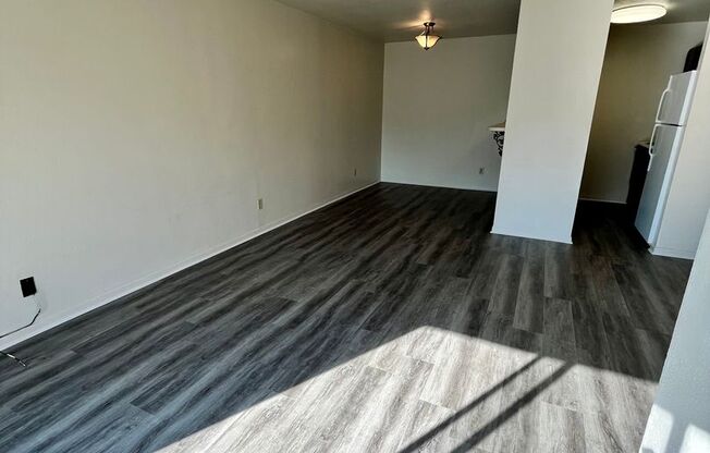 2 beds, 1 bath, 1,000 sqft, $1,250