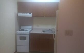 1 bed, 1 bath, 392 sqft, $1,500, Unit 402