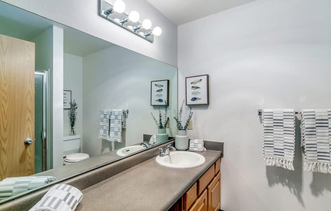 Luxurious Bathroom at Alder Creek Apartments, Washington
