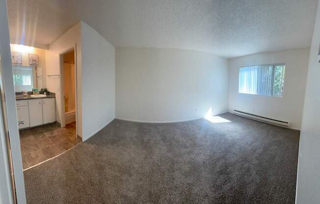 A room with a grey carpet and a window with white curtains.