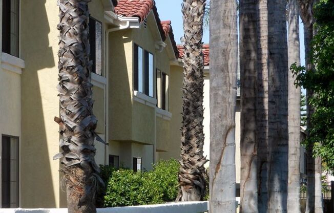 Los Olivos Apartments