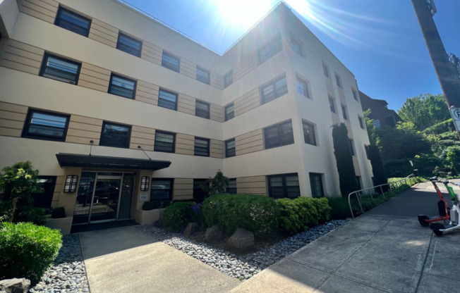 1 bed, 1 bath, 607 sqft, $1,350, Unit 24