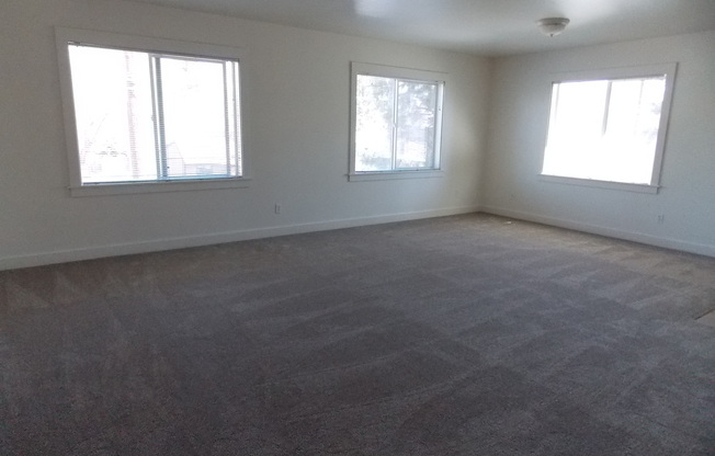 Studio, 1 bath, 450 sqft, $1,195, Unit C