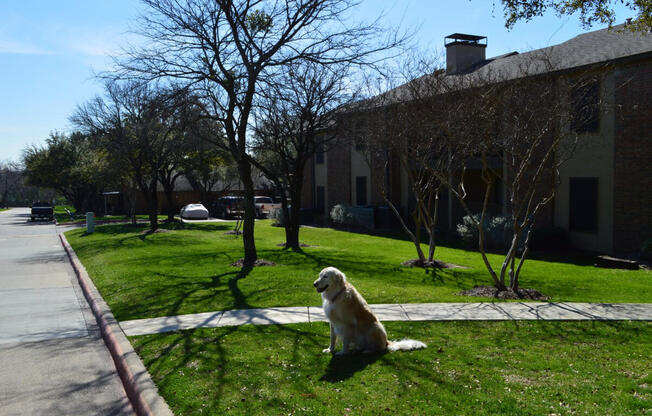 Walk path at Overton Park Apartments, Dallas, TX, 75216
