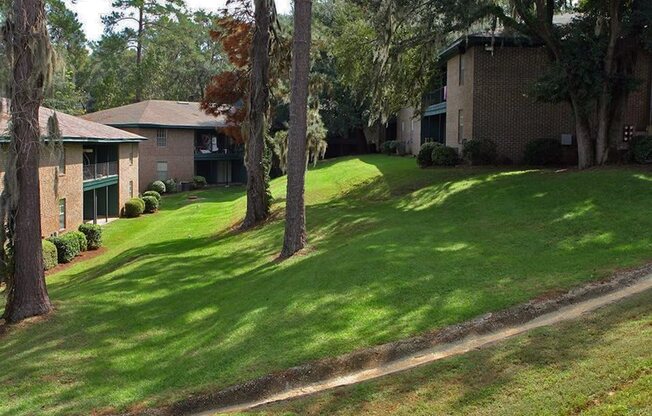 a grassy area with trees in the middle of it