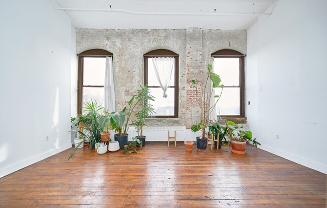 5 DELAVAN ST