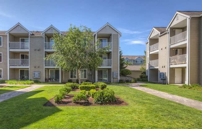 The Lighthouse Landscape