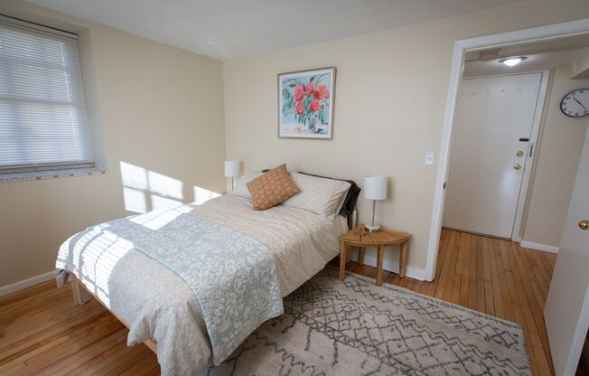 Large 1 bedroom Heat, Hot Water and WIFI Included, 2 blocks from Elm Park in WPI South Village