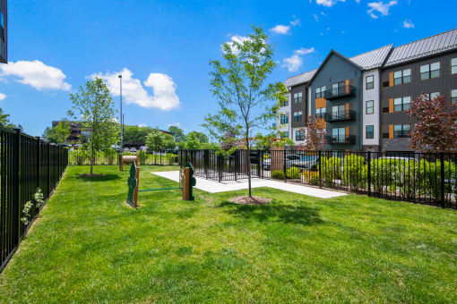 the preserve at ballantyne commons apartments courtyard with grass and trees