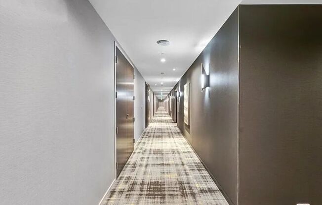 Studio, 1 bath, 518 sqft, $2,500, Unit 505