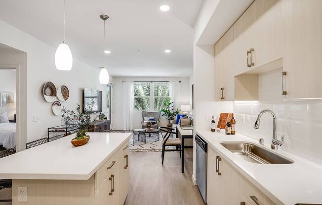 Apartment Kitchen