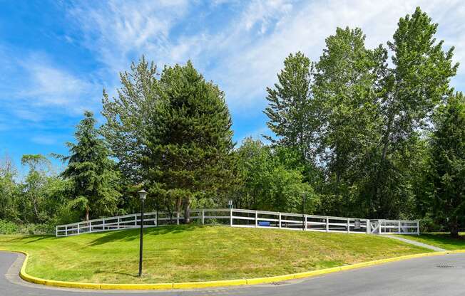 a grassy area with a fence and trees in the background