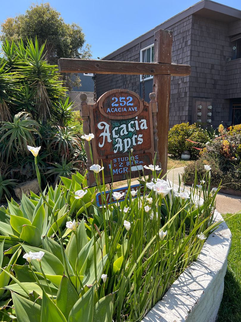 Sea Chase (Acacia Avenue)