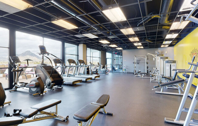 a large fitness room with treadmills and other exercise equipment