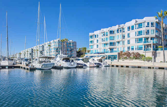 A marina with boats and yachts in front of a white building at Esprit Marina del Rey, 90292
