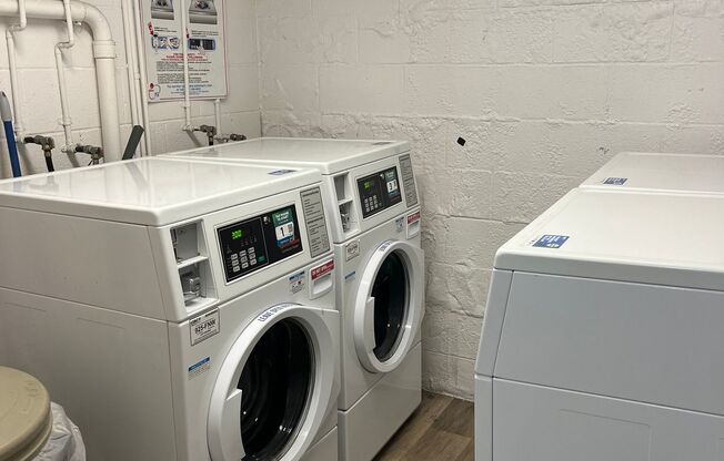 Rose Apartments, LLC
