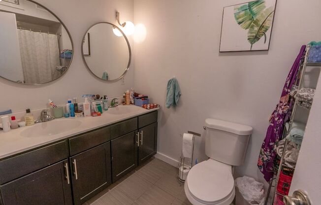 Brandywine Lofts