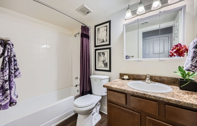 1 bed, 1 bath, 720 sqft, $1,513