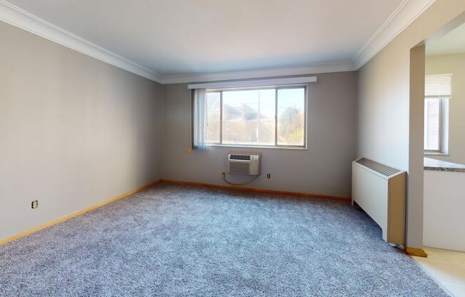 Studio, 1 bath, 500 sqft, $750, Unit 207