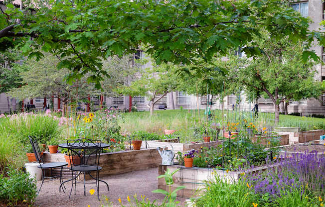 A garden with a table and chairs in the foreground.