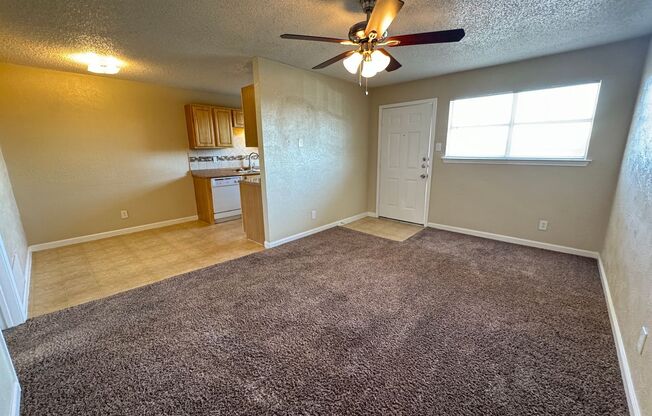 1 bed, 1 bath, $895, Unit Apt. 10