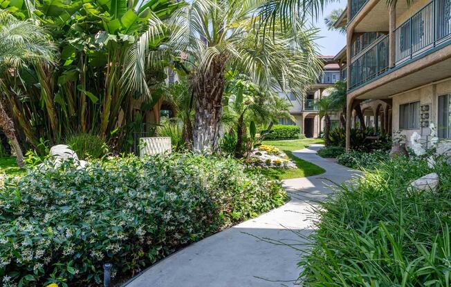 a palm tree in front of a house