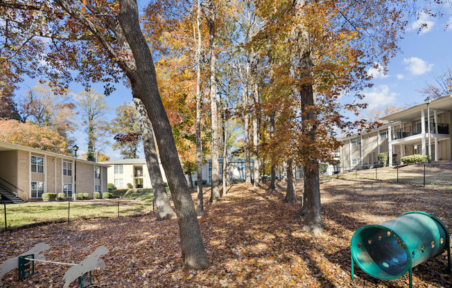 Outdoor Park at Montecito West in Raleigh, NC