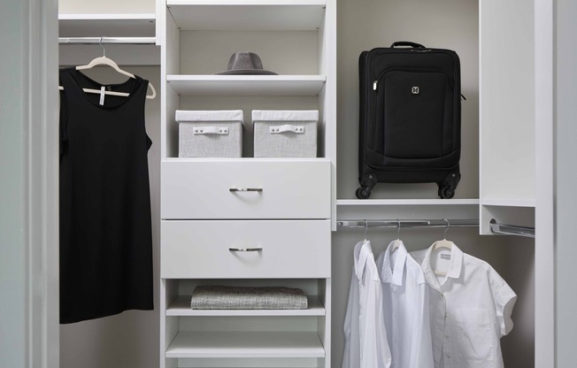 Maximize your space with Modera Clarendon's large closets and built-in storage solutions, perfect for organization and convenience.