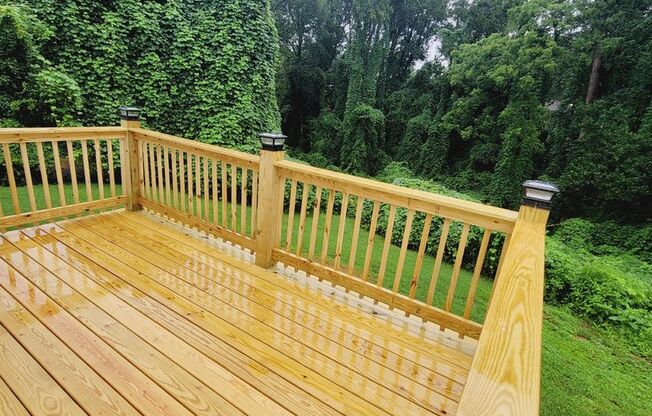 Newly Renovated Brick Ranch with a Basement!