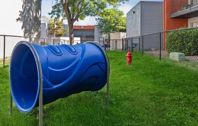 Community Dog Park with Agility Equipment at Indigo Park Apartments in Albuquerque, NM.