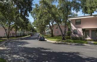 Tree-lined street with pastel colored apartment buildings at Terraces at Clearwater Beach, Clearwater, FL, 33756