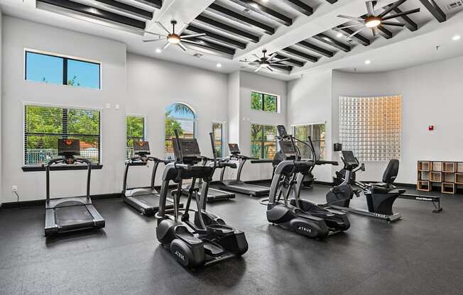 A gym with treadmills, elliptical machines, and a fan.
