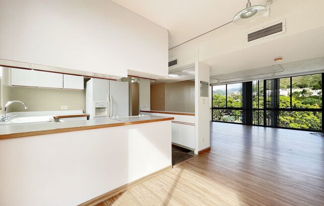 Downtown Living at Royal Queen Emma! 2 PARKING!!