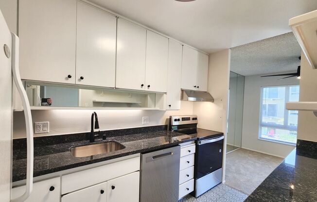 Updated extra large one bedroom at Woodlake